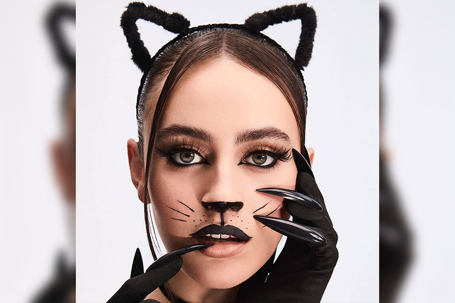 Класическа черна котка 13 Класическа черна котка